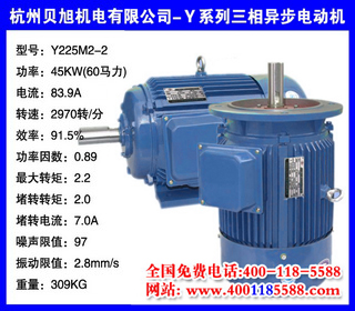 45KW  Yϵ첽綯 Y225M2-2