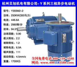 250KW  Yϵ첽綯 Y355M2-2